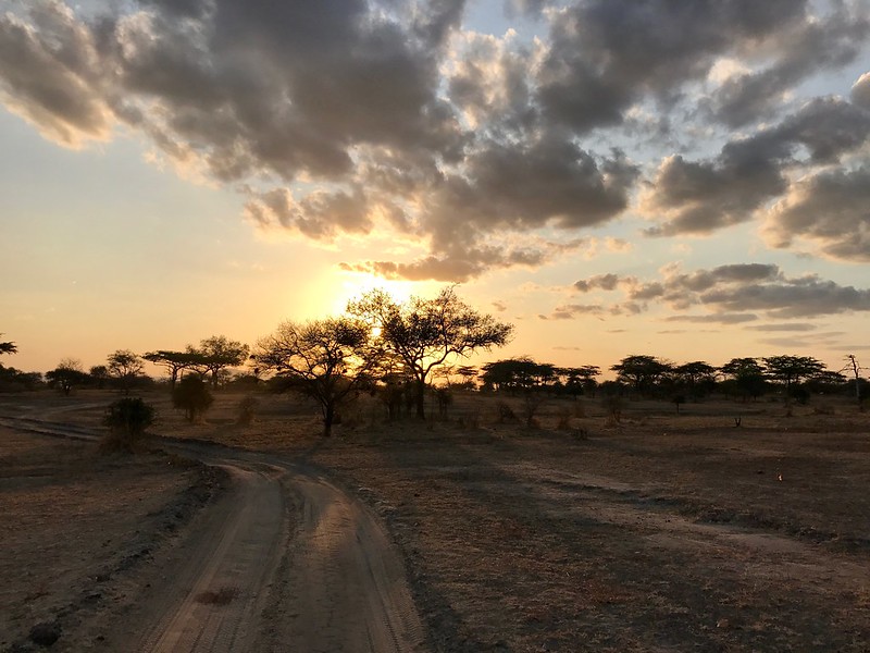 getting to selous