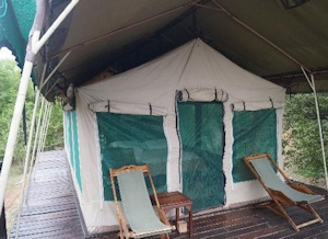 Selous Impala Camp