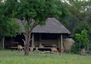 Siwandu Safari Camp