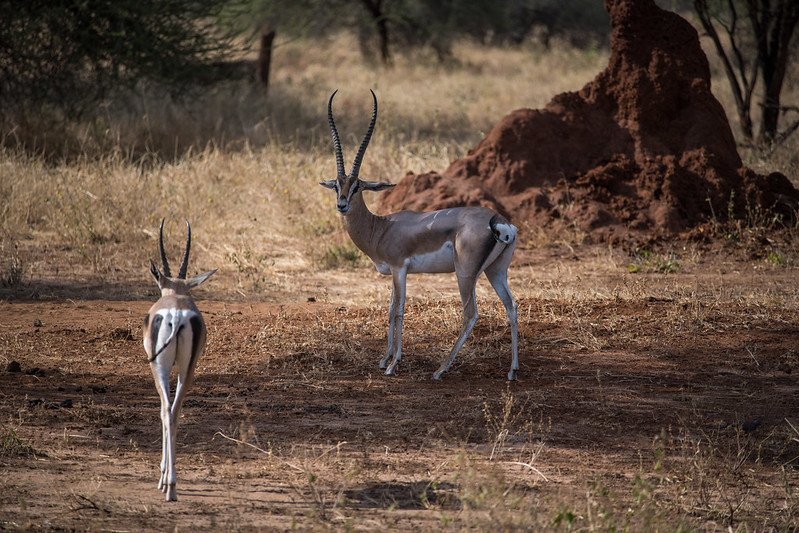 3 day trip Tanzania