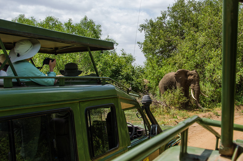 7 days tanzania safari