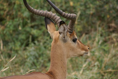 lake manyara national park