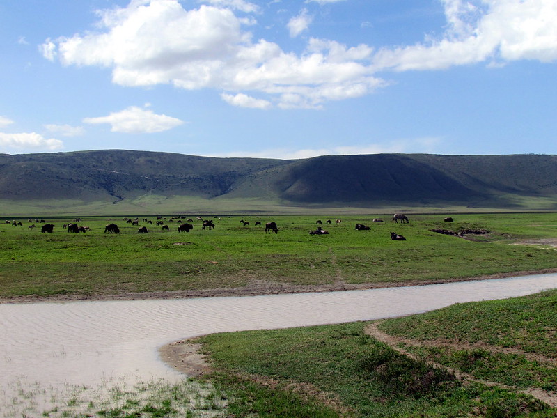 ngorongoro crater safari