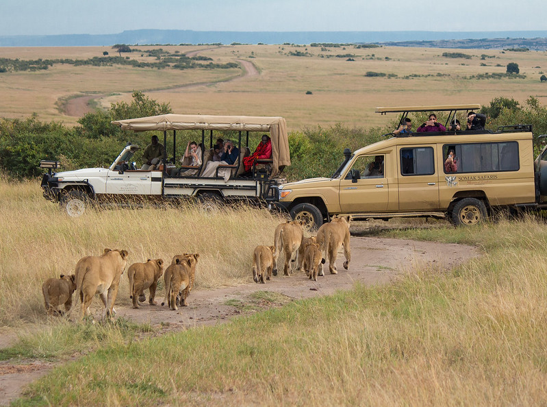 Tanzania luxury safari companies