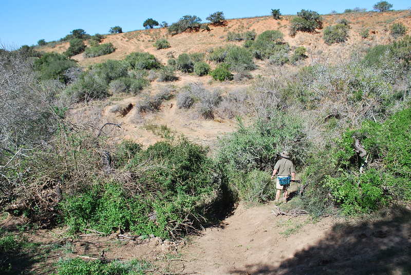 tanzania walking safari