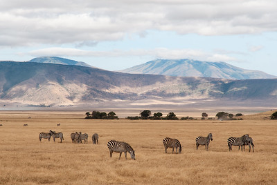 6 day tanzania safari