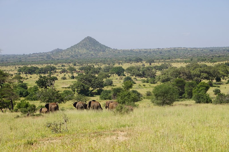 northern tanzania balloon flights