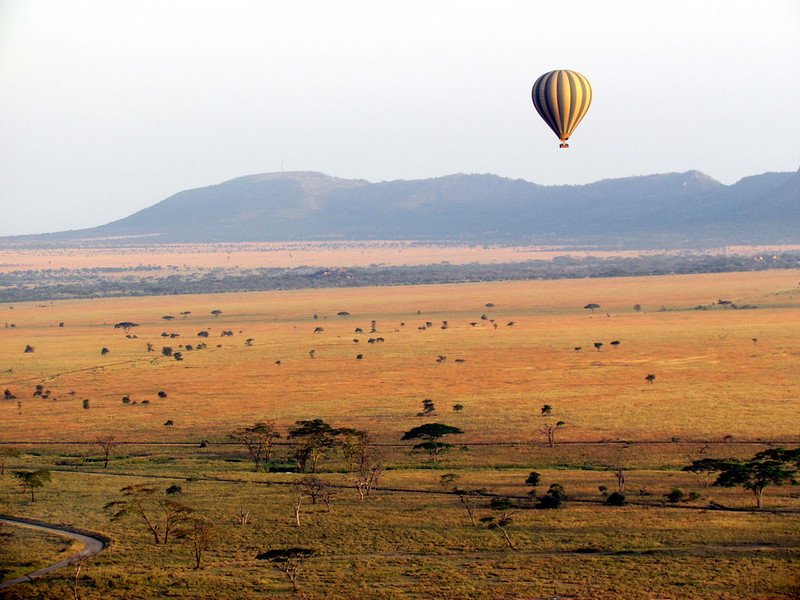 serengeti balloon safari
